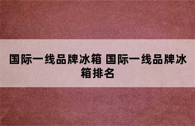 国际一线品牌冰箱 国际一线品牌冰箱排名